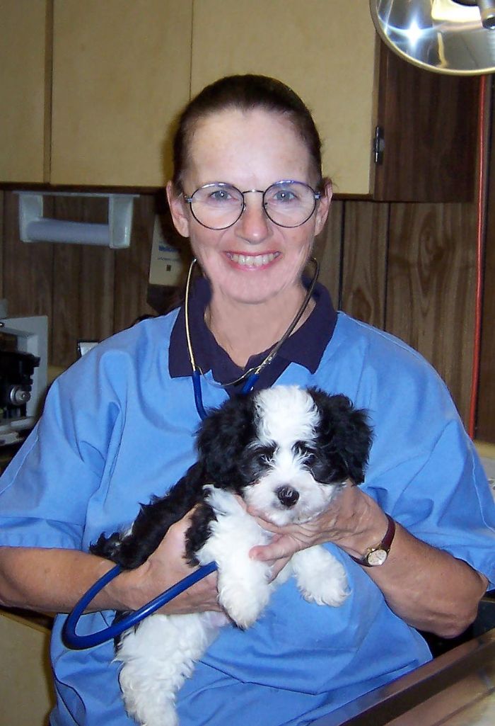 Canyon HIlls Havanese has Dr. Diane Nelson check all of our pups