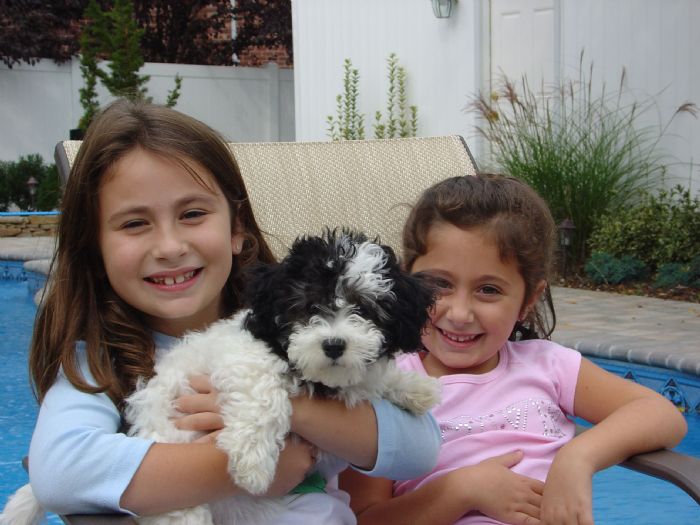 Adwar children and they canyoun Hills Havanese